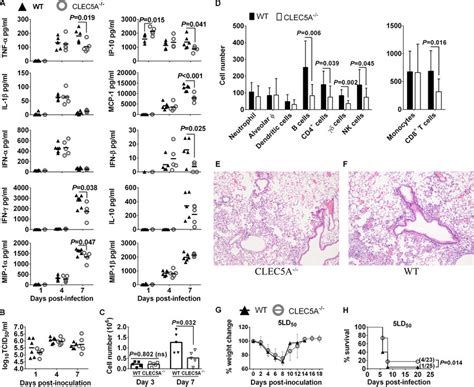 Lower Levels Of Proinflammatory Cytokines And Reduced Level Of Immune Download Scientific