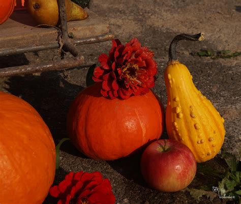 Страна декора и цветов: Осенний декор во дворе