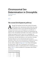 Sex Lethal Gene In Drosophila Chromosomal Sex Determination In Drosophila Ncbi Nlm Nih Gov