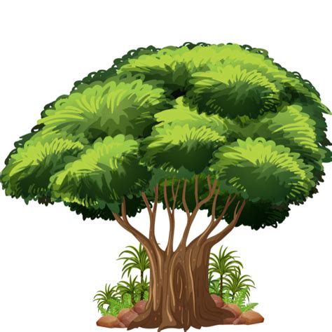 kumpulan gambar pohon kartun  bagus  terlengkap blog