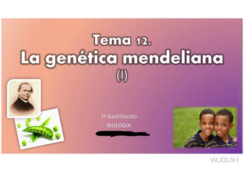 SOLUTION Biolog A 2 Bach La Genetica Mendeliana 1 Studypool