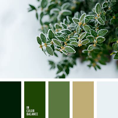 Цветовая палитра №2808 | IN COLOR BALANCE
