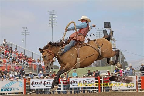 Saddle Bronc Riding