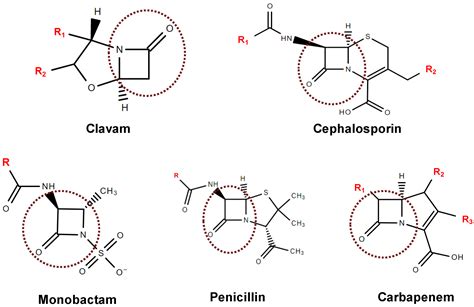 Antibiotics Free Full Text Production of β Lactamase Inhibitors by