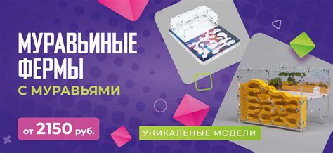 Муравьиные фермы, формикарии. Вертикальные, гипсовые. Доставка по России.