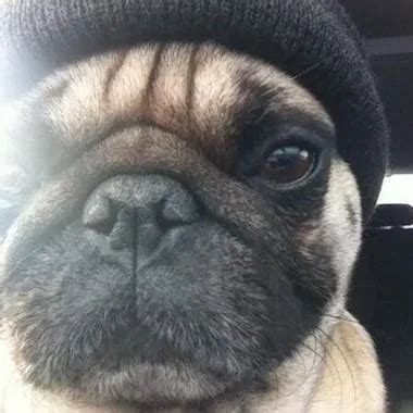 Fuufu Sex 2 Free Cowgirl HD Porn Video 53 XHamster