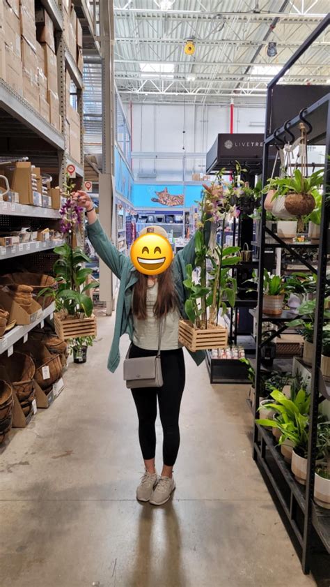 Lowe’s Score!! Care tips? How would you repot this orchid? : r/orchids