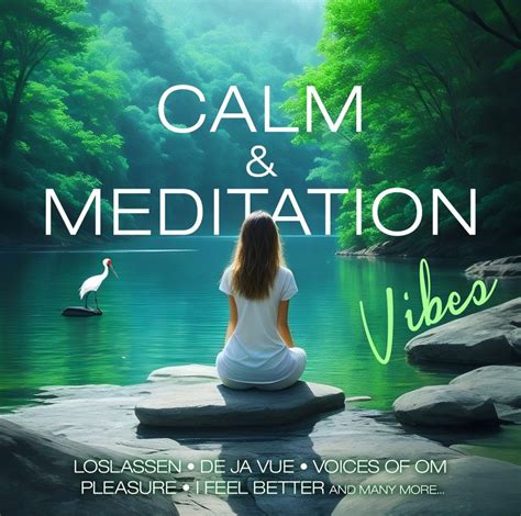 Calm And Meditation Vibes Zyx Music