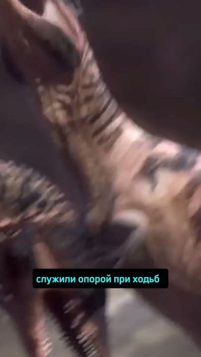 для чего динозавров нужны были когти? #динозавры #факты # ...