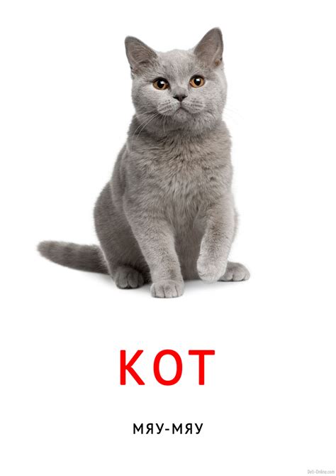 Кот: карточка Домана звукоподражание | скачать или распечатать