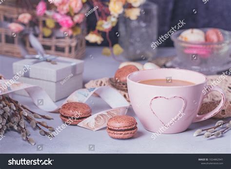 French Pink Pussy Willow Images Stock Photos Vectors Shutterstock