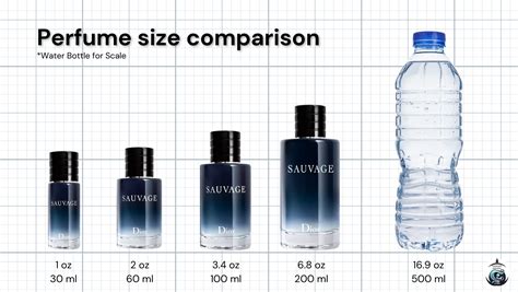 How Big Is 1 Oz Of Perfume A Guide To Perfume Bottle Sizes