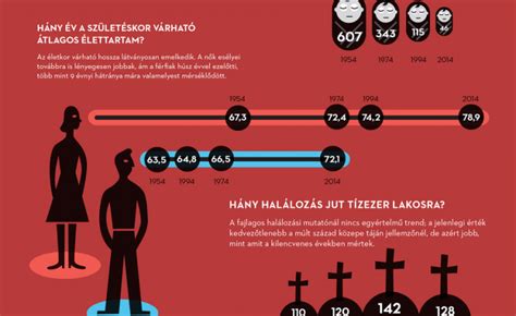 Születés és halál Infotandem