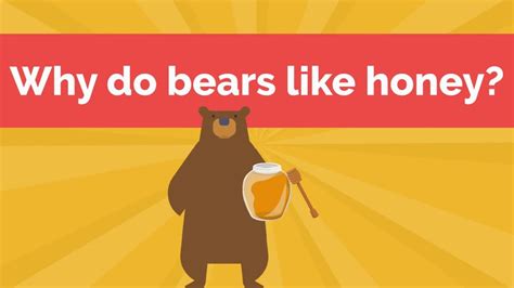 Do Bears Actually Like Honey? The 20 Latest Answer - Musicbykatie.com