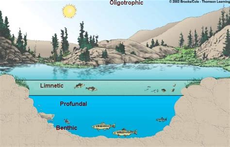 Table Marine Life Zones
