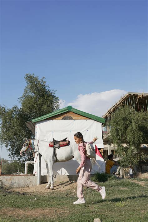 hut animation      hut animation stock