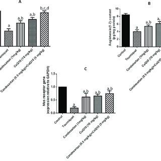 Effect Of Candesartan Coq And Their Combination On Ace Angiotensin