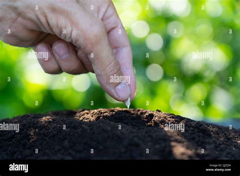 farmer sowing seed stock photo alamy