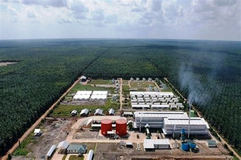 Triputra Agro Resmikan Pabrik Kelapa Sawit Baru Di Kalimantan Tengah