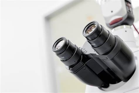 scope microscope camera  photo  pixabay