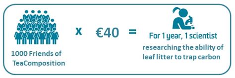 Donate Global Litter Decomposition Study