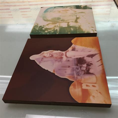 Stefanie Schneider In Front Of Trailer Sidewinder Diptych Polaroid Nude Contemporary