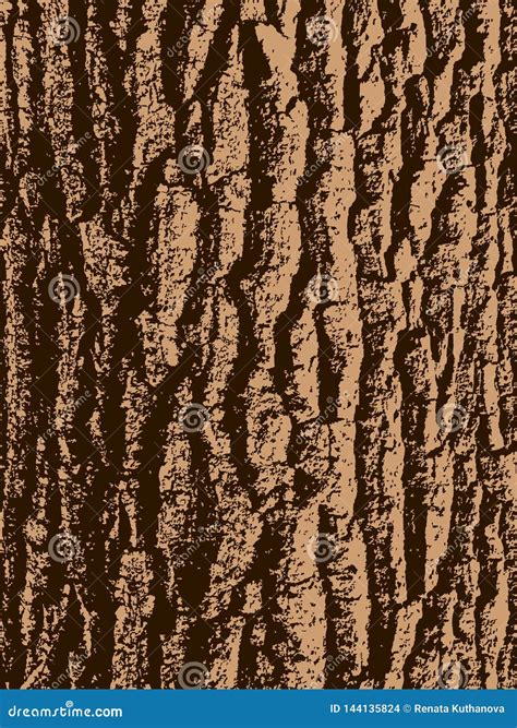 Oak Tree Bark Stock Vector Illustration Of Nature Texture 144135824
