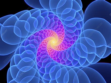 Flower Abstract Fractal Illustration Stock Image F029 3876 Science Photo Library