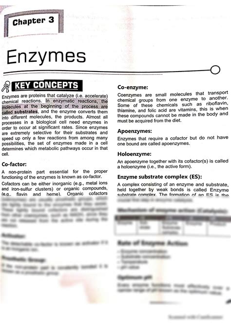 Solution Enzymes Short Notes Studypool