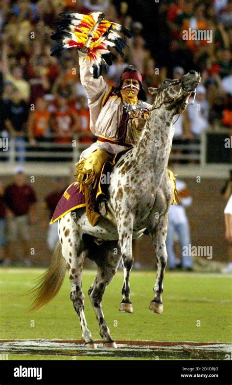 Florida state university mascot hi-res stock photography and images - Alamy