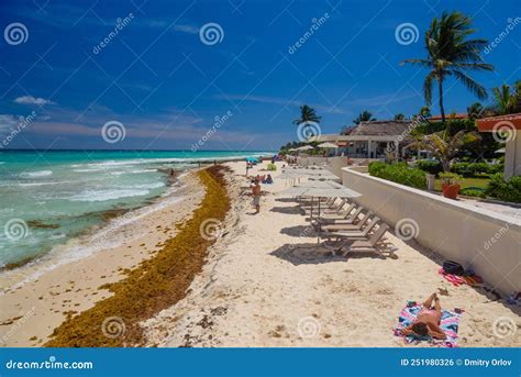 Lady In String Bikini Sunbathing On A Sandy Beach With Seaweeds In Playa Del Carmen Yukatan