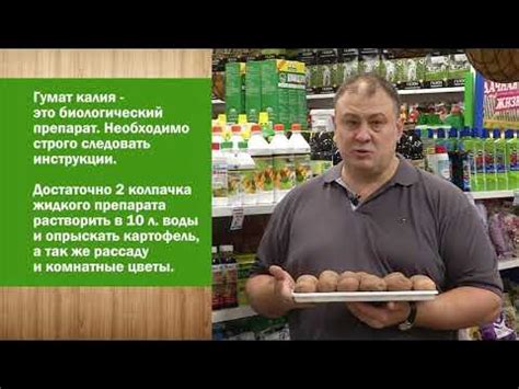 Определяем с экспертами какой гумат калия для подготовки картофеля ...