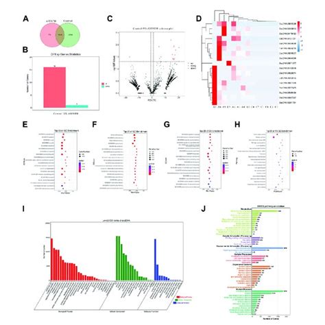 Genomic Distribution Of EcDNAs And The Correlation With Frequency Of