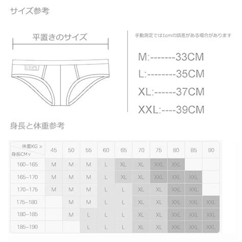 GTOPX MESH BIKINI 超薄型 メンズ ポーチ 透明ウェスト セクシー メッシュ下着 ローライズ ストレッチ 吸水速乾 柔らかい
