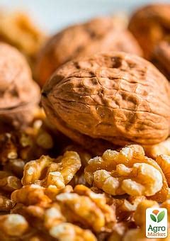 ОРЕХ: купить саженцы ореха почтой в Киеве, Одессе и Украине - цена в ...