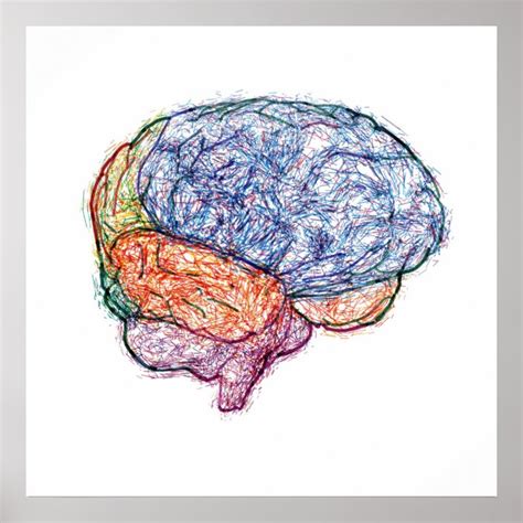 brain poster | Zazzle.com