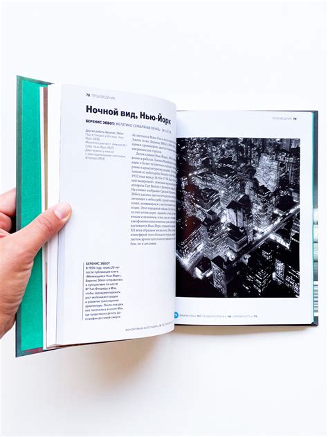 Главное в истории фотографии. Жанры, произведения, темы, техники ...