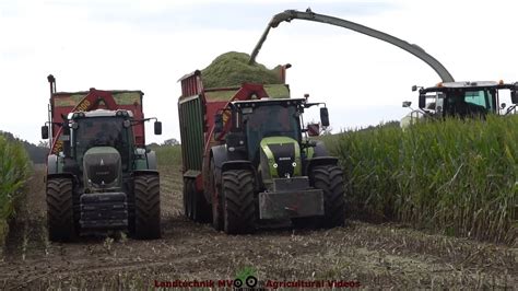 Claas Fendt Hawe Cat Maissilage Silaging Maize 2022 Pt 1