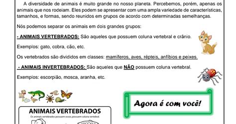Texto Sobre Animais Vertebrados E Invertebrados 3 Ano - Atividades Sobre Animais Invertebrados 3 Ano - RETOEDU