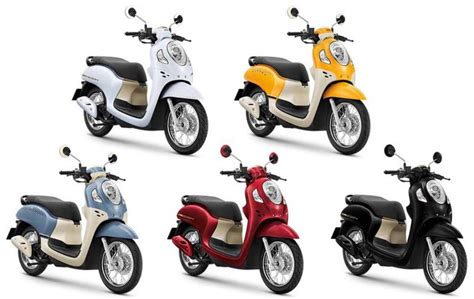 Warna Honda Scoopy Thailand Lebih Menarik Ardiantoyugo