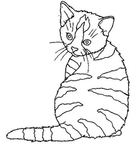 Картинки Раскраску котика (38 шт.) - #2805