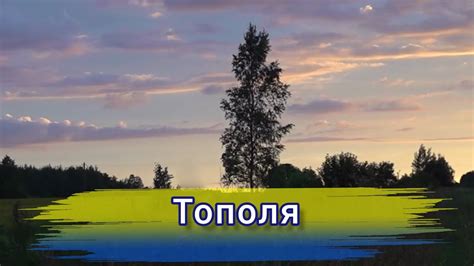 Тополя. Тарас Шевченко. Балада. - YouTube