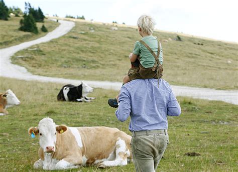 Urlaub In Der Oststeiermark Pauschalangebote