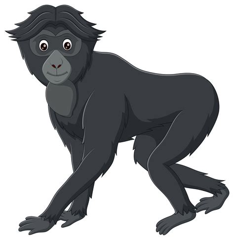 Cute Siamang Cartoon Isolated On White Background Vector Illustration