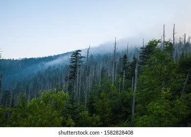 538 Sunrise clingmans dome Images, Stock Photos & Vectors | Shutterstock