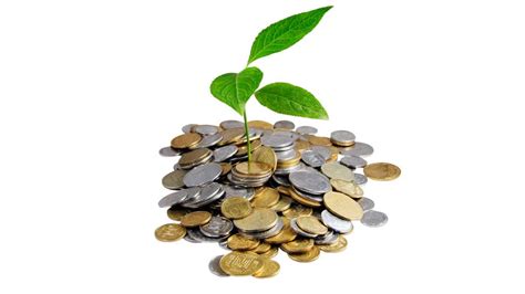 entenda mais sobre os valores  receber pelo banco central