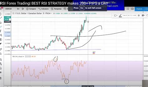 rsi indicator  newbies    rsi indicator  trade