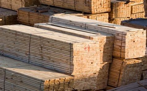 Russia Expands Sawn Timber Exports To Africa And The Middle East Due
