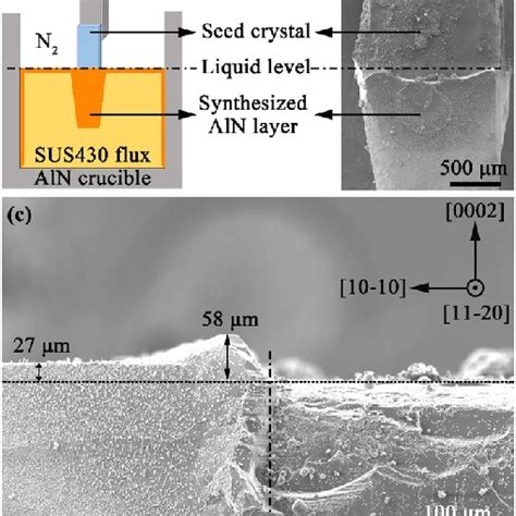 A Schematic Diagram Of Uniform Cooling Growth B And C Sem Images