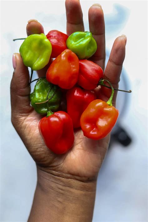 Scotch Bonnet Hot Pepper Sauce The Seasoned Skillet